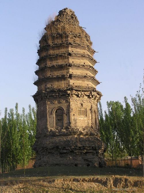 1005201951515da205e41df0b3.jpg 1005201951515da205e41df0b3.jpg